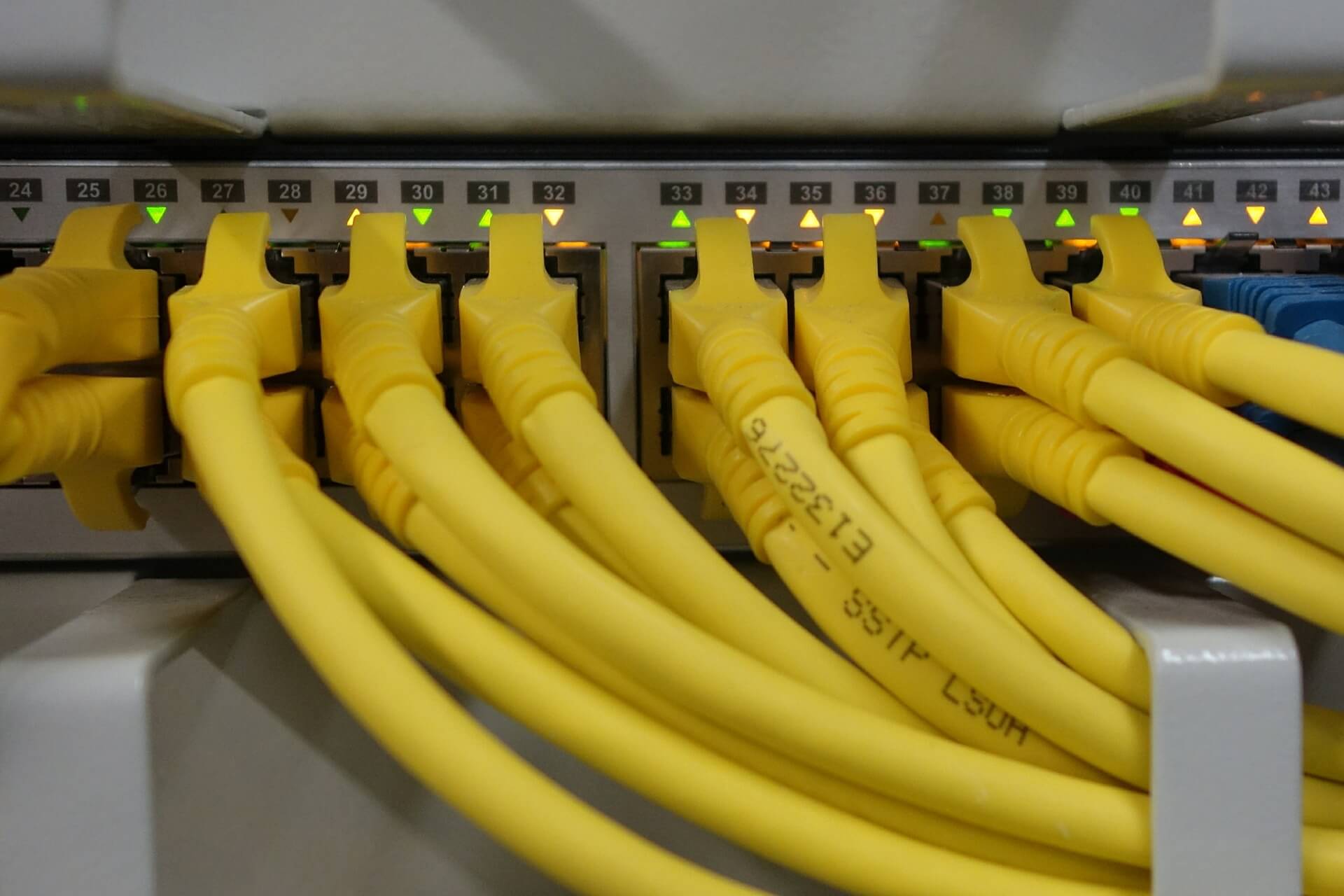 yellow networking cables